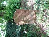 image of grave number 827485